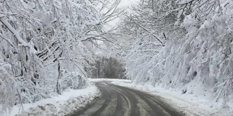 რთული მეტეოროლოგიური პირობების გამო, საავტომობილო გზების რამდენიმე მიმართულებაზე შეზღუდვები დაწესდა