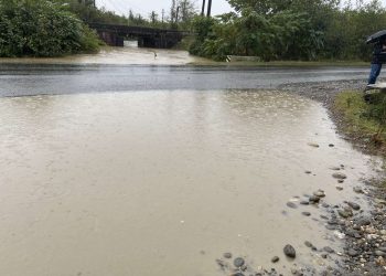 ფოტორეპორტაჟი – სტიქია სუფსაში