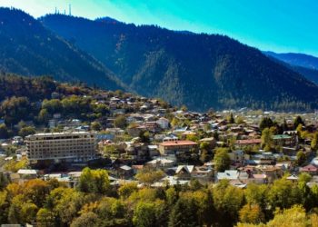 სავარაუდოდ სოკოს მიღების შემდგომი ინტოქსიკაციით  მამა-შვილი გარდაიცვალა ბორჯომში