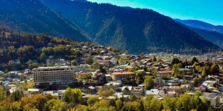 სავარაუდოდ სოკოს მიღების შემდგომი ინტოქსიკაციით მამა-შვილი გარდაიცვალა ბორჯომში