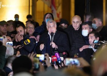 მამუკა ხაზარაძე დეპუტატის მანდატს ტოვებს