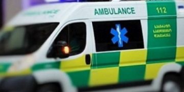 ქუთაისში ცოფის შემთხვევა დაფიქსირდა