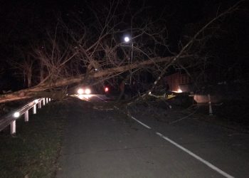 ამ წუთებში ოზურგეთი ლანჩხუთის დამაკავშირებელი გზა ჩაკეტილია