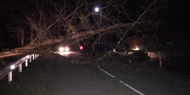 ამ წუთებში ოზურგეთი ლანჩხუთის დამაკავშირებელი გზა ჩაკეტილია