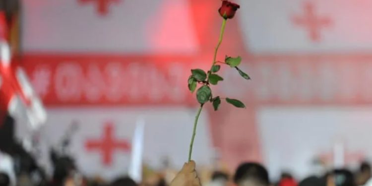 თავისუფლების მოედნიდან ვარდების მოედნამდე დღეს ცოცხალი ჯაჭვი მოეწყობა