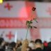 თავისუფლების მოედნიდან ვარდების მოედნამდე დღეს ცოცხალი ჯაჭვი მოეწყობა