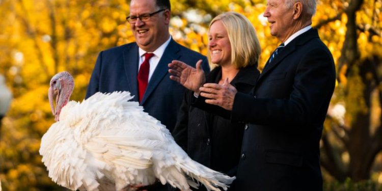ჯო ბაიდენმა ინდაურები სახელად “არაქისის კარაქი” და “ჟელე” შეიწყალა