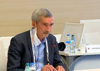 “რამდენიმე დღეში ალბათ გამოცხადდება გარკვეული ზომები… სავარაუდოდ, ამოქმედდება კოვიდ-პასპორტები” – იმნაძე