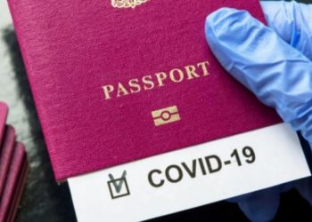 როგორ ავიღოთ მწვანე პასპორტი ონლაინ რეჟიმში