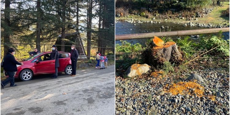 ”ოცზე მეტი ხე მოჭრეს…დღეს ასწლოვანი ჭადრის მოჭრაც უნდოდათ…”- ლიხაურში მოსახლეობა ხეების მოჭრას აპროტესტებს