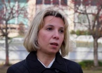 ლომჯარია: ჩემი მთავარი თხოვნა ვაშინგტონში არის, რომ გვჭირდება უფრო მეტი მხარდაჭერა