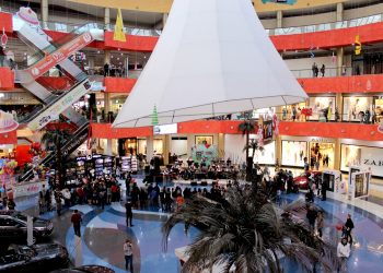 სავაჭრო მოლის რომელ ნაწილში ვერ შეხვალთ ”მწვანე პასპორტის” გარეშე