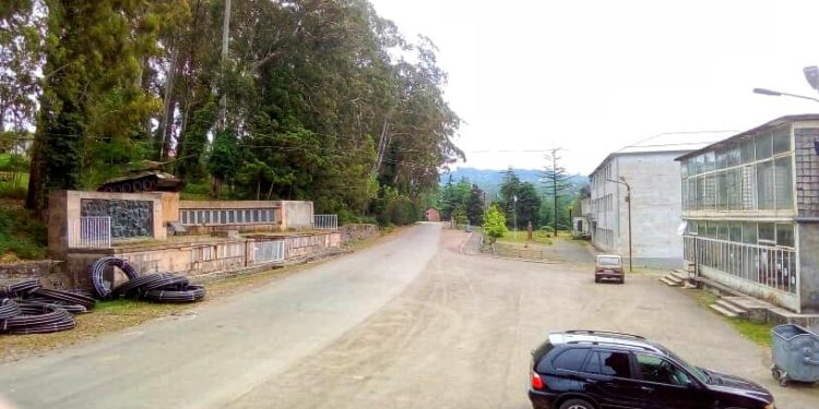 სოფელ შრომაში კორონავირუსით 40-მდე ადამიანი დაინფიცირდა