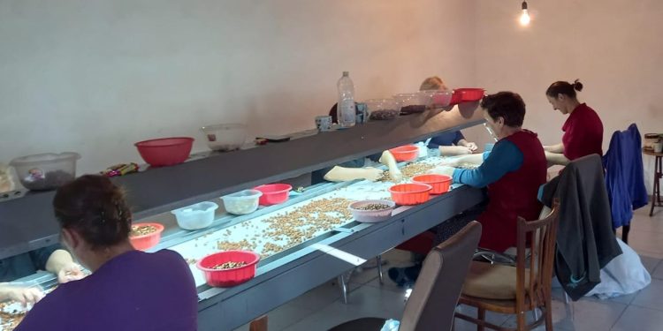 ლანჩხუთელი რომან ყაველაშვილის თხილის საწარმო – როგორ იქცა აგროსესხით დაწყებული საქმიანობა წარმატებულ ბიზნესად