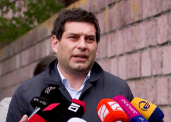 დავითულიანი: არ მგონია, უფრო კომპეტენტური იყოს აშშ-ს ელჩი, ვიდრე არის პენიტენციური სისტემა