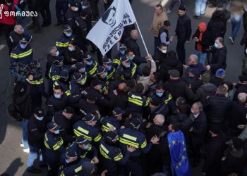 ინსპექტორმა 29 ნოემბრის აქციაზე პოლიციელების მხრიდან შესაძლო ძალადობაზე გამოძიება დაიწყო