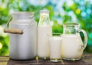 ბრუცელოზის შემთხვევები რძეში – 58 ობიექტიდან დაავადება 13-ში დადასტურდა