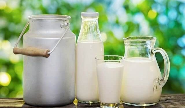 ბრუცელოზის შემთხვევები რძეში – 58 ობიექტიდან დაავადება 13-ში დადასტურდა