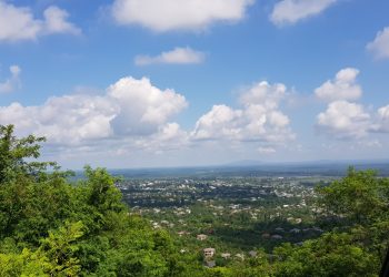 რა პროექტები განხორციელდება გურიაში საპილოტე რეგიონების ინტეგრირებული განვითარების პროგრამის ფარგლებში