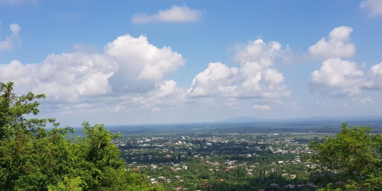 რა პროექტები განხორციელდება გურიაში საპილოტე რეგიონების ინტეგრირებული განვითარების პროგრამის ფარგლებში