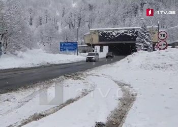 რიკოთის მონაკვეთზე ავტოტრანსპორტის გადაადგილება თავისუფალია