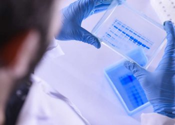 იაპონელი მეცნიერების მტკიცებით, ახალი ვაქცინა შექმნეს, რომელიც დაბერების პროცესს ხელს უშლის