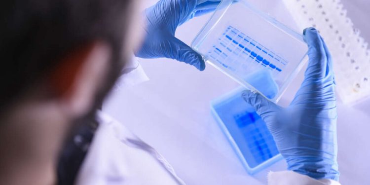 იაპონელი მეცნიერების მტკიცებით, ახალი ვაქცინა შექმნეს, რომელიც დაბერების პროცესს ხელს უშლის