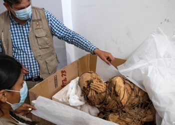 პერუში თოკით გაკოჭილი, 1200 წლის წინანდელი მამაკაცის მუმია აღმოაჩინეს