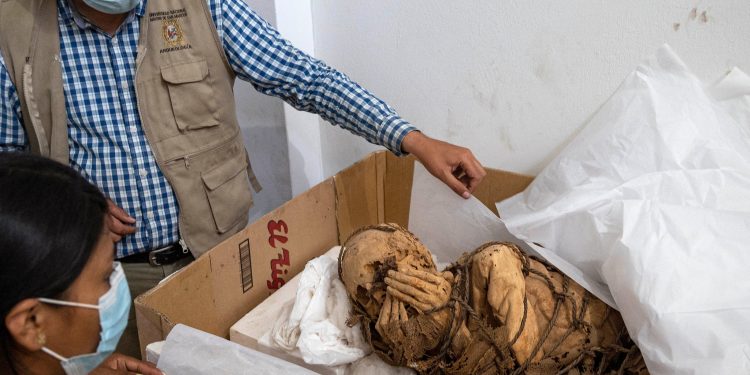 პერუში თოკით გაკოჭილი, 1200 წლის წინანდელი მამაკაცის მუმია აღმოაჩინეს