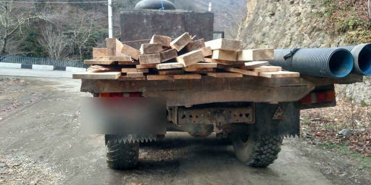 გურიასა და აჭარაში ხე-ტყის უკანონო ტრანსპორტირების ფაქტები გამოვლინდა