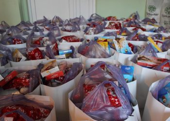 სოფელ შრომაში სოციალურად დაუცველ პირებს საახალწლო საჩუქრები გადაეცა