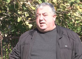 შალვა თავდიშვილის საქმით სახელმწიფო ინსპექტორი დაინტერესდა – რა მოხდა საკრებულოს სხდომაზე