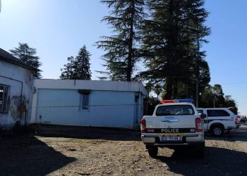 ძაღლით მისულ ქურდს მაღაზიაზე მიყუდებული კიბე დარჩა – რა მოხდა წუხელ დაბა ლაითურში