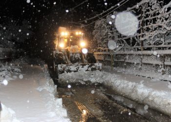 რა ტიპის პრობლემები შექმნა თოვლმა ოზურგეთში