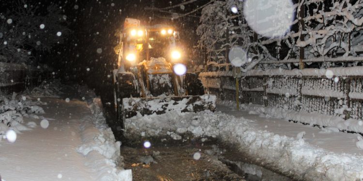 რა ტიპის პრობლემები შექმნა თოვლმა ოზურგეთში