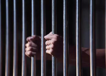 პარლამენტი ამნისტიის აქტზე მუშაობს – რომელი კატეგორიის პატიმრებს შეეხება იგი