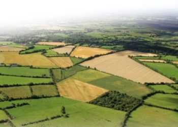 მიწის რეგისტრაციასთან დაკავშირებით დამატებით ახალი ცვლილებები იგეგმება