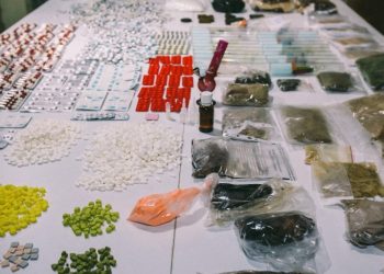 შსს-მ უკანონო ბრუნვიდან ამოღებული 37 მილიონ ლარზე მეტი ღირებულების ნარკოტიკები გაანადგურა