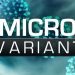 ახალი შტამი „ომიკრონი“ საპანიკო არაა – ჯანდაცვის მსოფლიო ორგანიზაცია