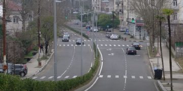 მწვანე პასპორტის საკითხს ოზურგეთში ჯერჯერობით არცერთი უწყება არ აკონტროლებს