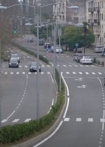 მწვანე პასპორტის საკითხს ოზურგეთში ჯერჯერობით არცერთი უწყება არ აკონტროლებს