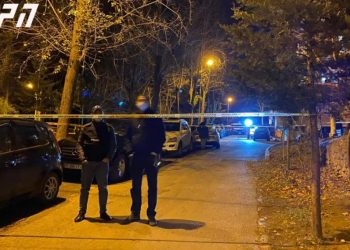 სანზონაში არასრულწლოვანი ცივი იარაღით არის მოკლული და მას 10-მდე ჭრილობა აქვს მიყენებული