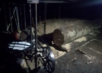 სოფელ ზოტში უკანონო სახერხი გამოავლინეს