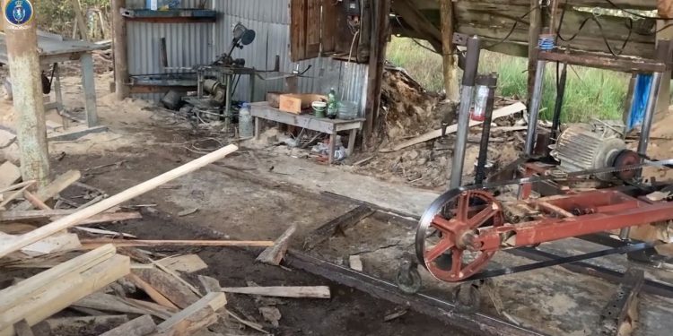 ოზურგეთში ორი პირი უკანონო სახერხი საამქროს მონტაჟის გამო დააკავეს