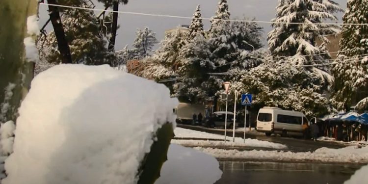 გურიის ახალი ამბები – 24.12.2021