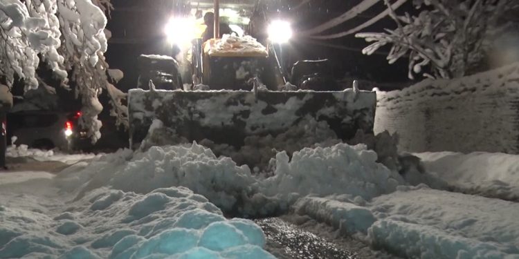 გურიის სოფლებში კვლავ ელექტროენერგიის პრობლემაა – რას ამბობს ხელისუფლება