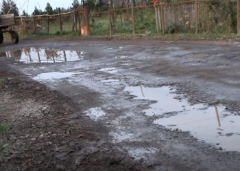 მოუწესრიგებელი შიდა გზები დაბა ლაითურში