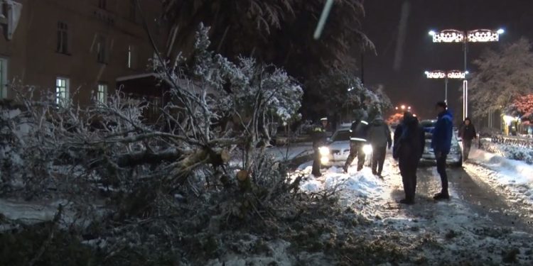 ვიდეო – დიდთოვლობა ოზურგეთში