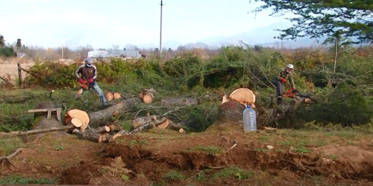 გურიის ახალი ამბები –14. 12. 2021