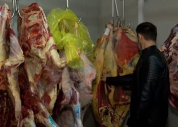 შემოწმების შედეგად 220 კგ ხორცი განადგურდა – სურსათის ეროვნული სააგენტო